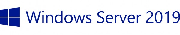 HP Enterprise Microsoft Windows Server 2019 - Lizenz - 5 Benutzer-CALs