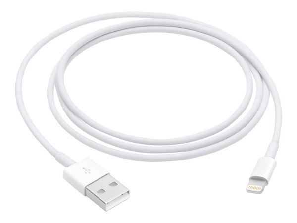 Apple Lightning-Kabel - USB (M) bis Lightning (M)
