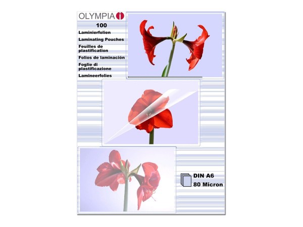 Olympia Durchsichtig - A6 (105 x 148 mm) 100