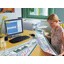 OKI Matt - 297 x 1200 mm - 160 g/m² - 40 Blatt Banner