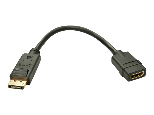 Lindy Video- / Audio-Adapter - DisplayPort (M)