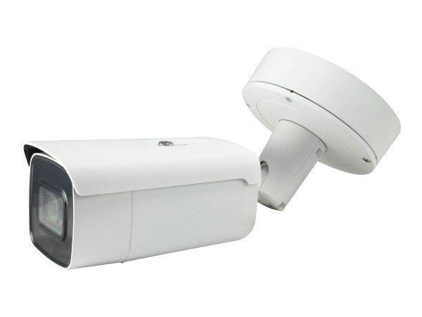 LevelOne FCS-5095 - Netzwerk-Überwachungskamera - Außenbereich, Innenbereich - vandalismusgeschützt